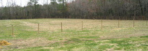 back field corner back field fencing