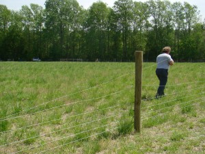 walking the wire down walking the wire down