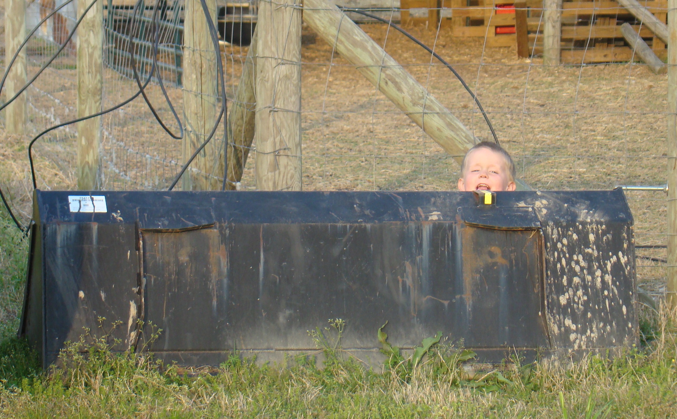 hiding 1 hiding 1 e1272373787242