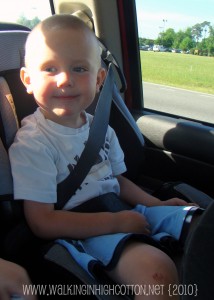 wyatt carseat (picnik) wyatt carseat picnik
