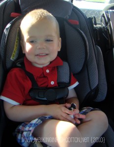 waylon carseat (picnik) waylon carseat picnik