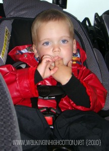 waylon raincoat carseat (picnik) waylon raincoat carseat picnik