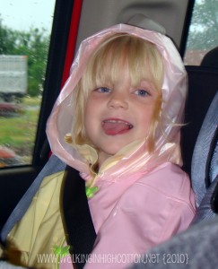 ruby raincoat carseat (picnik) ruby raincoat carseat picnik