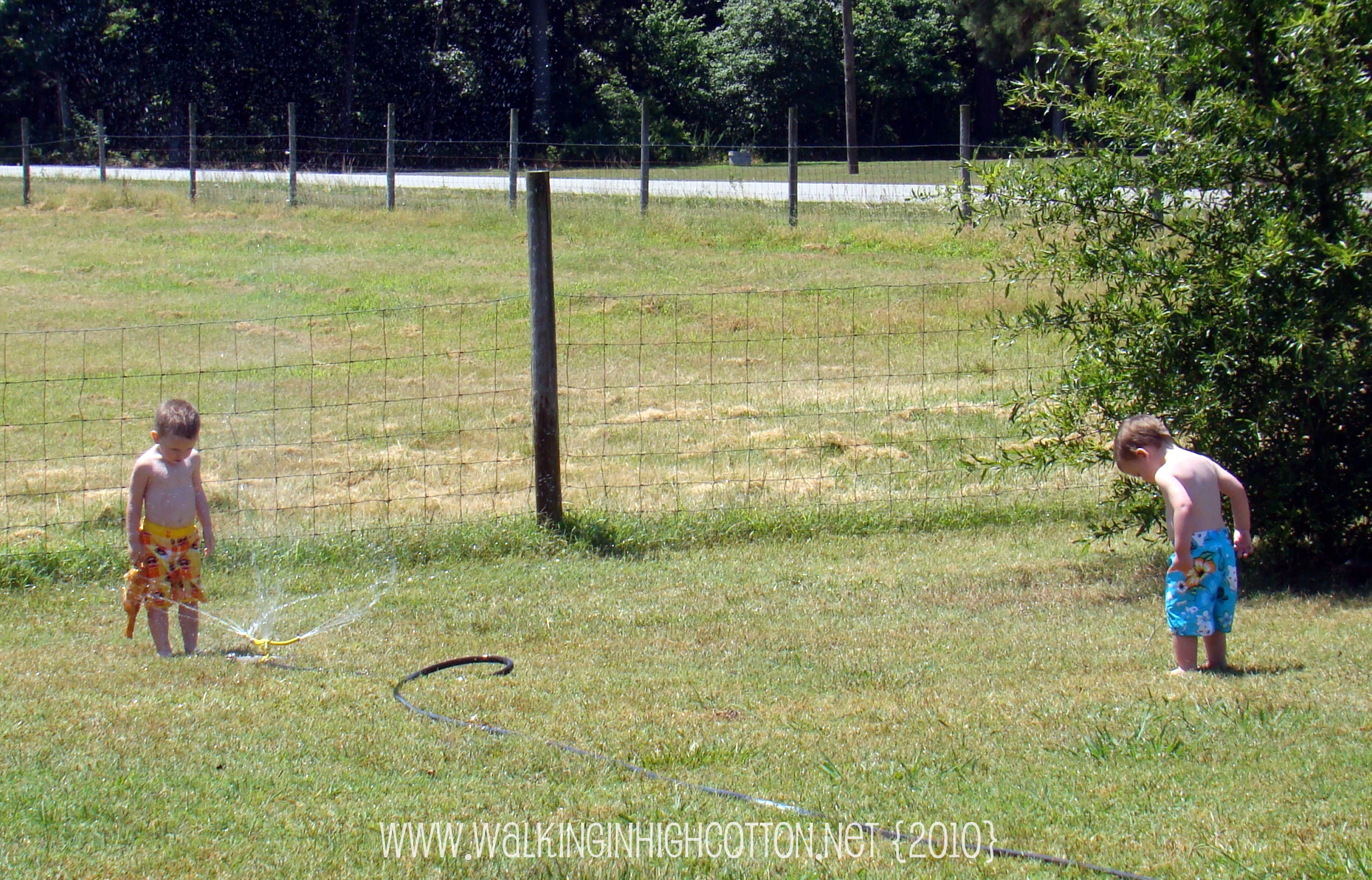 sprinkler (boys) (picnik) sprinkler boys picnik