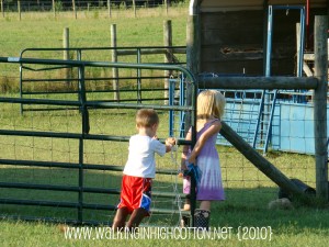 closing the gate (picnik) (text) closing the gate picnik text