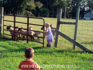 ruby shutting the gate (picnik) (text) ruby shutting the gate picnik text