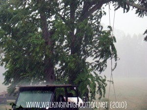 raining on ranger (picnik) (text) raining on ranger picnik text