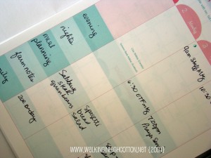 do it all planner full angle (picnik) (text) do it all planner full angle picnik text