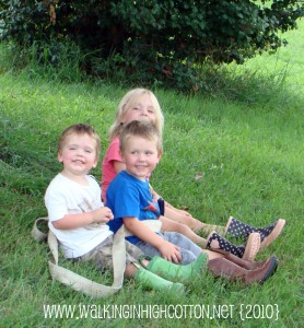 3 olivers in grass (picnik) (text) 3 olivers in grass picnik text