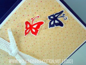 2 butterfly close up (picnik) (text) 2 butterfly close up picnik text