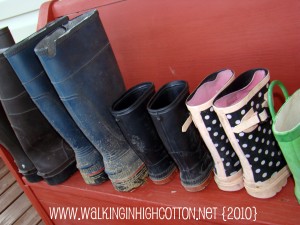 cow boots (picnik) (Text) cow boots picnik Text