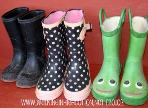 kids cow boots (picnik) (text) kids cow boots picnik text