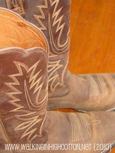 new cowboy boots (picnik)(text) new cowboy boots picniktext