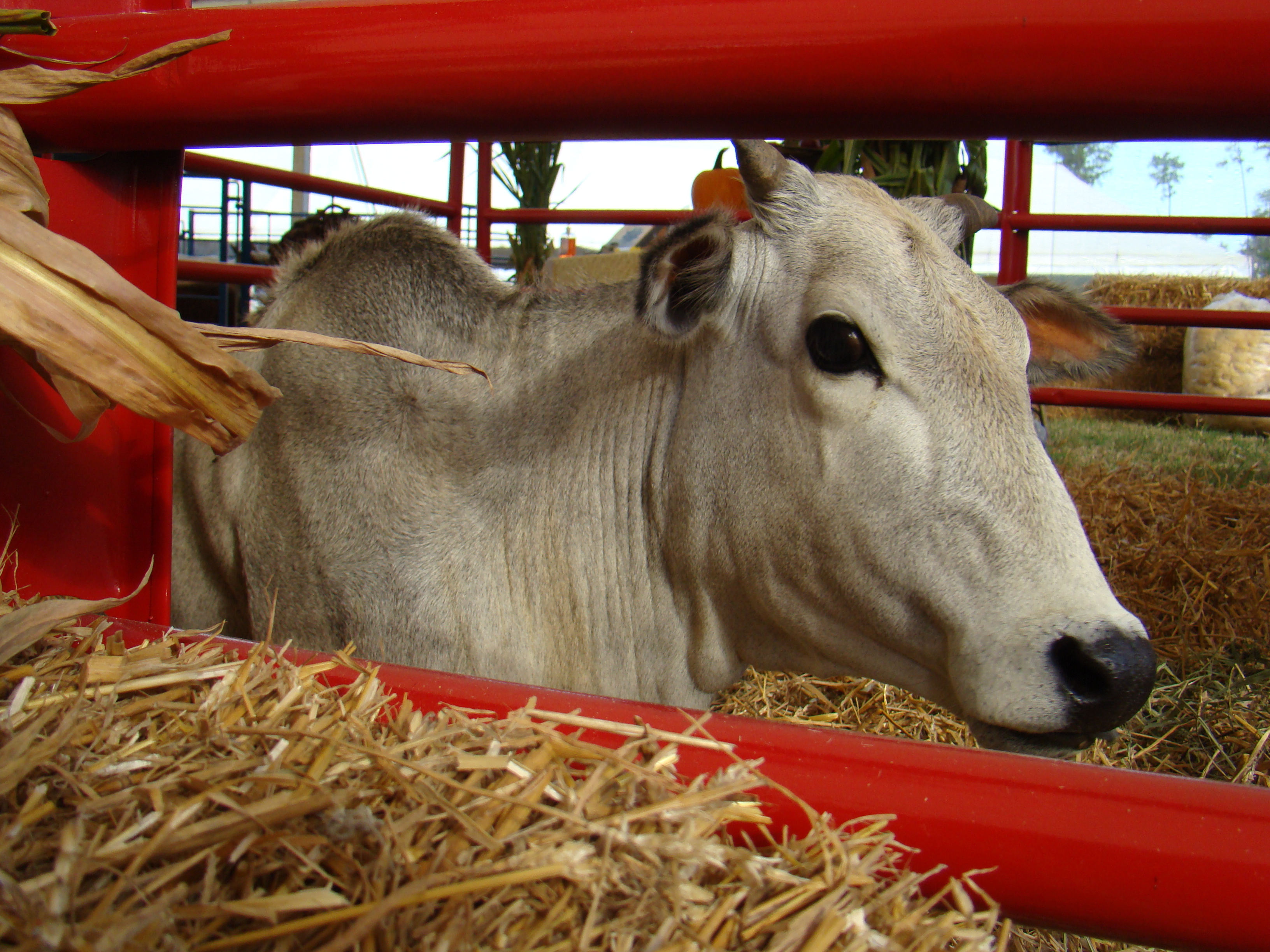 DSC05645 DSC05645