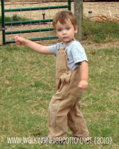 chasing chickens waylon (picnik) (text) chasing chickens waylon picnik text