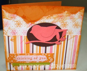 pink-orange bird card (picnik) (text) pink orange bird card picnik text