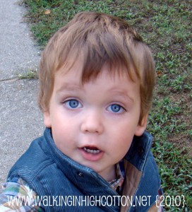 waylon (picnik) (text) waylon picnik text