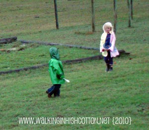 raining eggs (picnik) (text) raining eggs picnik text