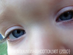 waylon blue eyes (picnik) (text) - large waylon blue eyes picnik text large