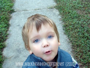 waylon dino voice (picnik) (text) - large waylon dino voice picnik text large