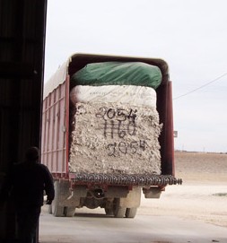 cotton truck (2) cotton truck 2 e1288134689571