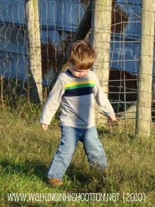 hose (1) hose 1