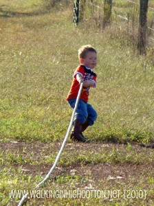 hose (2) hose 2