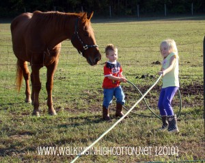 hose (5) hose 5