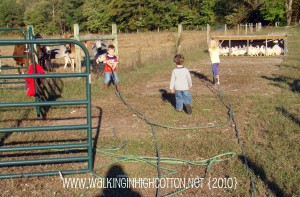 hose (11) hose 11