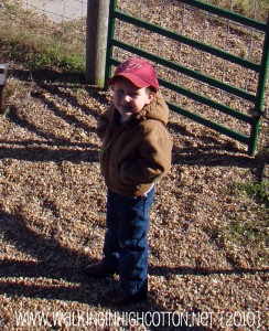 wyatt 11-2010 wyatt 11 2010