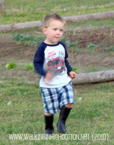 wyatt shorts wyatt shorts