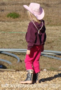 ruby pink hat ruby pink hat