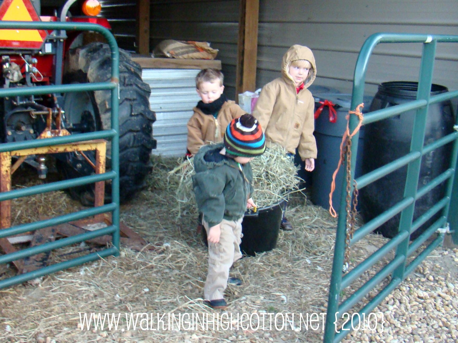 chores (10) chores 10