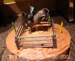 cowboy cake cowboy cake
