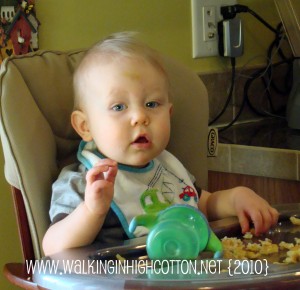 wyatt 2007 wyatt 2007