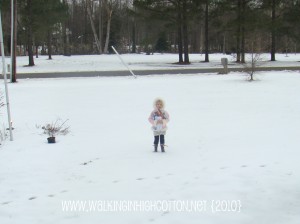 ruby snow jan 2010 ruby snow jan 2010