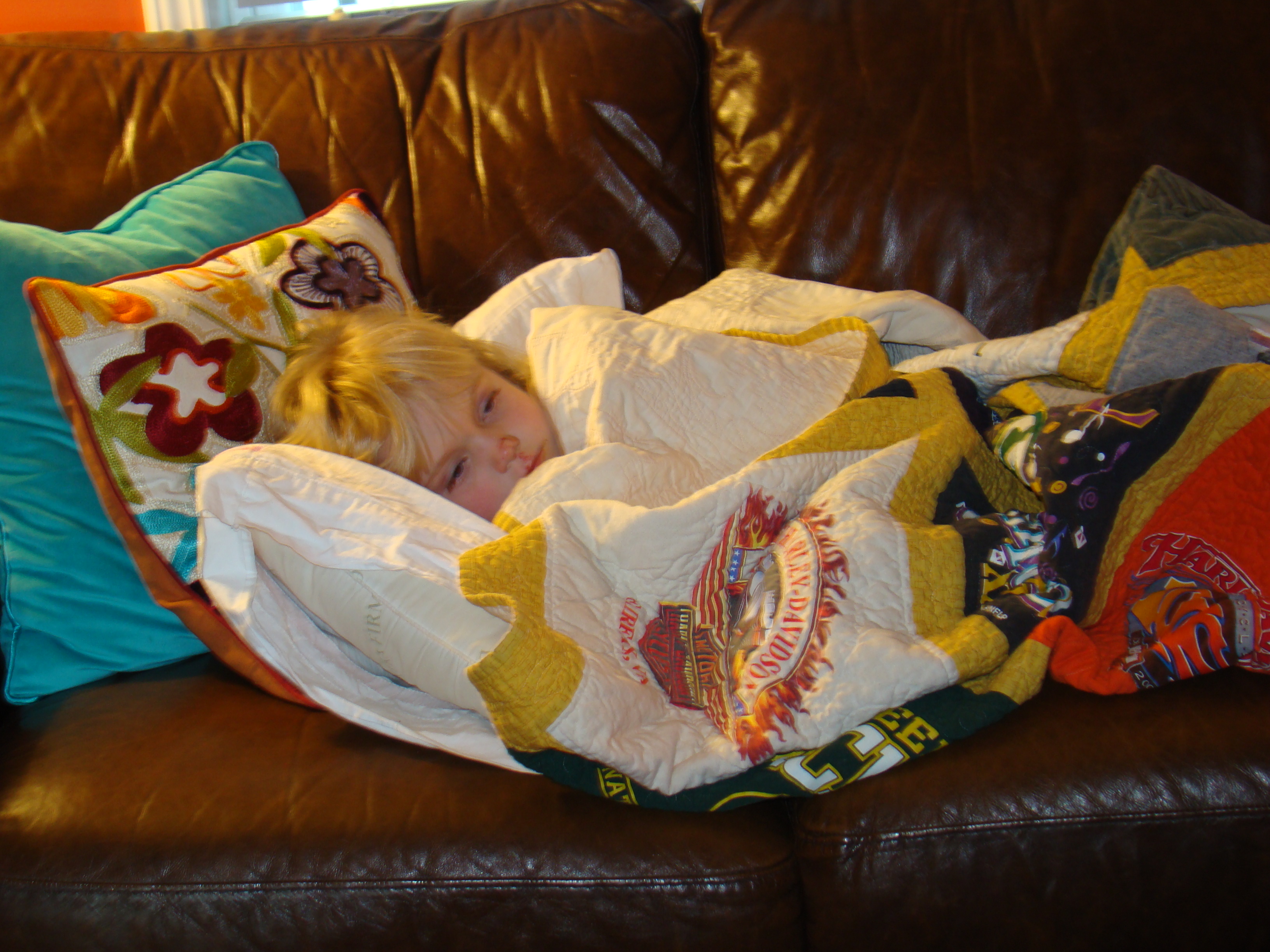 DSC02850 DSC02850