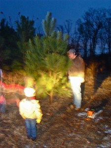 DSC03080 DSC03080