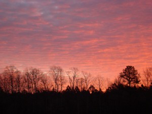 pink morning (2) pink morning 2