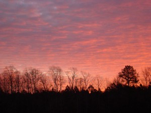pink sky (4) pink sky 4