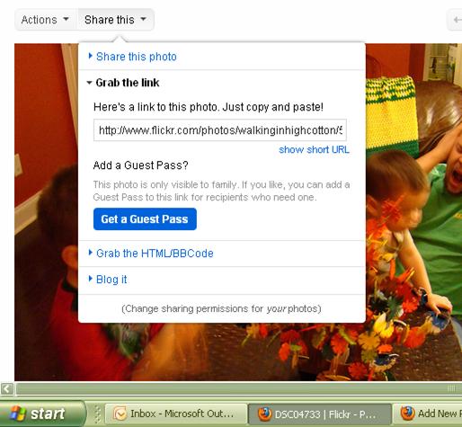 flickr (4) flickr 4
