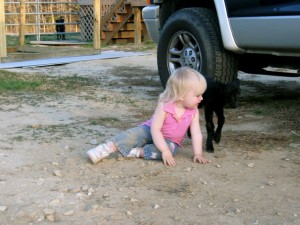 IMG_1024 IMG 1024