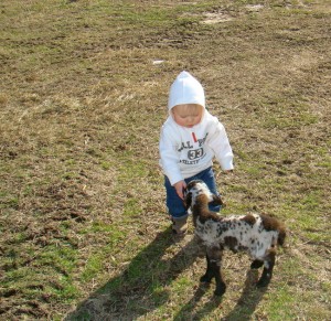 wyatt-chauncy - large wyatt chauncy large