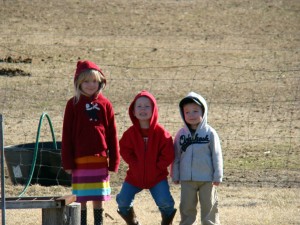 kids 5 kids 5