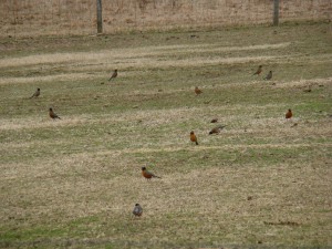 DSC07344 DSC07344