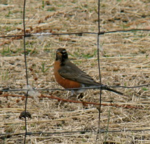 DSC07345 DSC07345