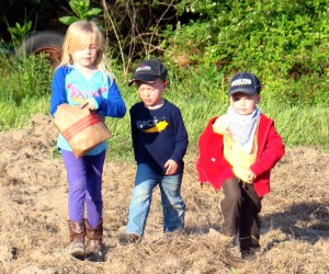 3 olivers may 2011 3 olivers may 2011