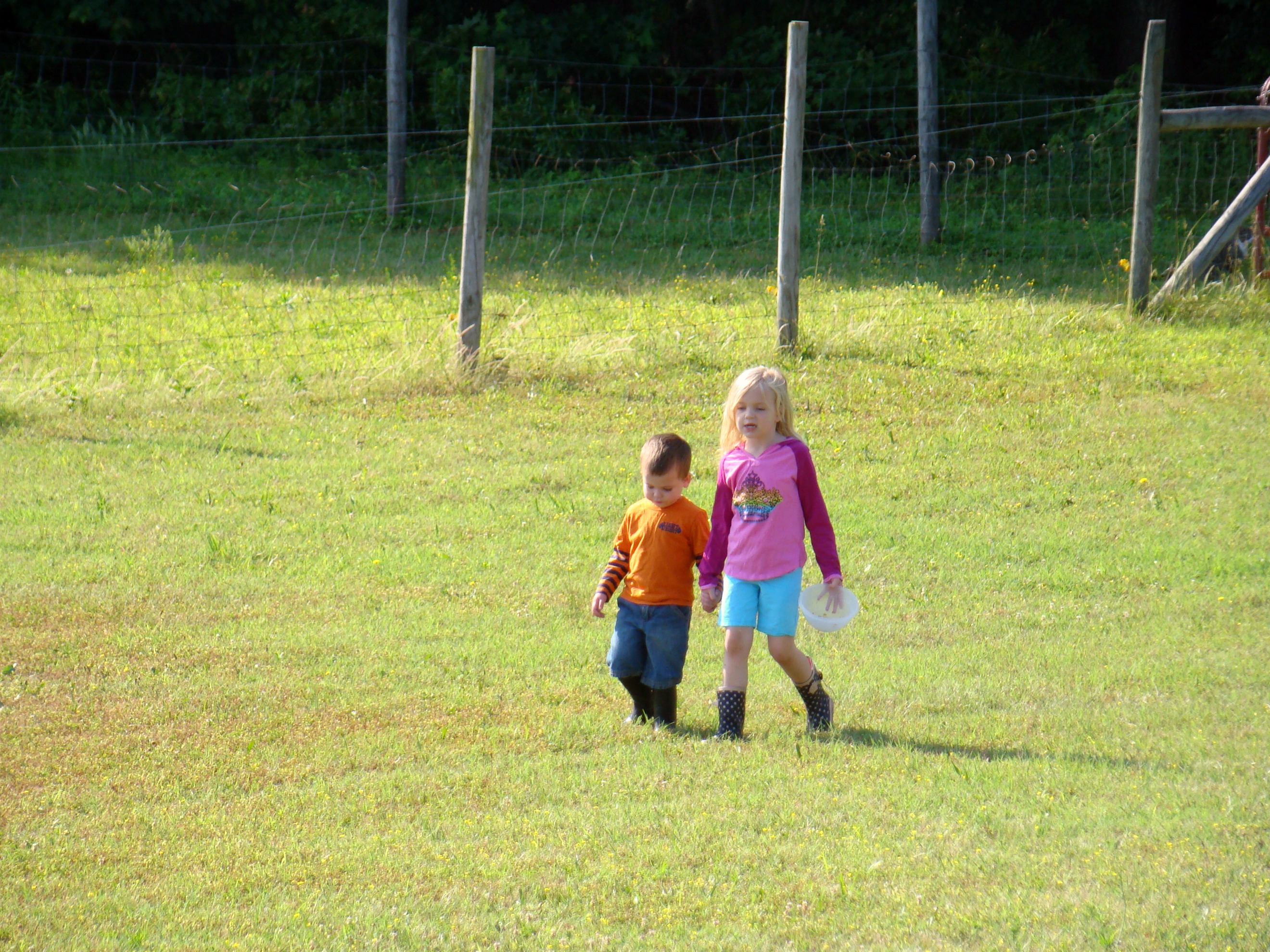 kids 6 kids 6