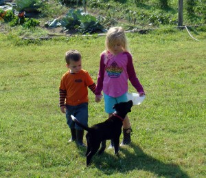 kids 2 kids 2