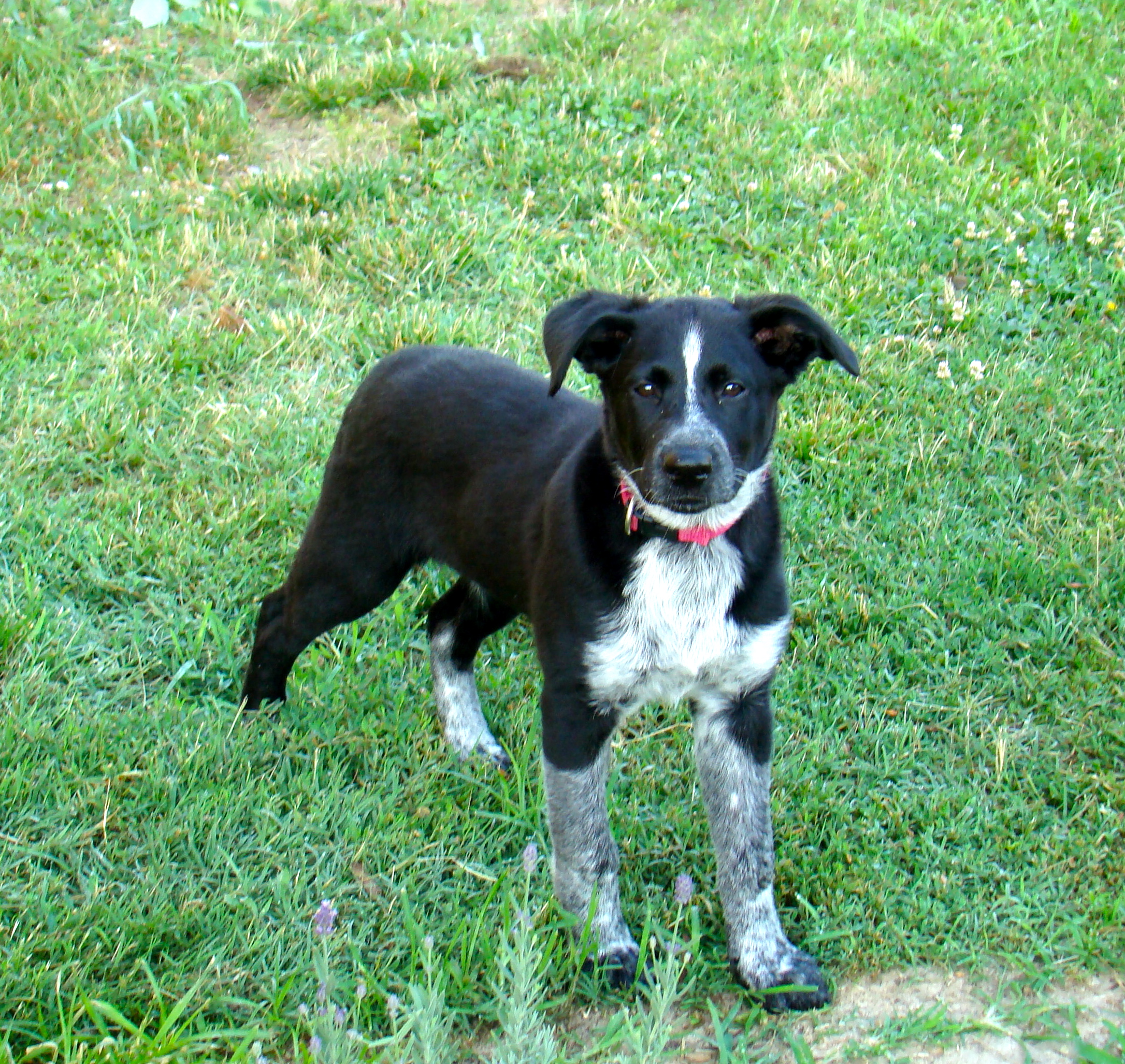 DSC02000 DSC02000